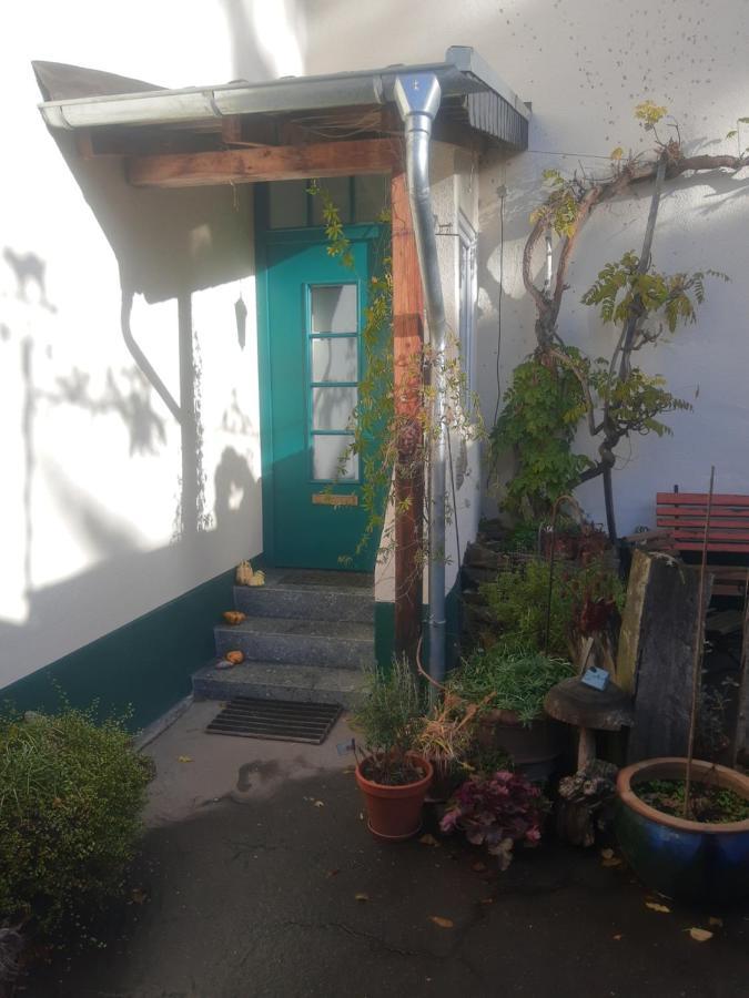Gartenzimmer Mit Strassenbahn Zu Dom Und Messe Cologne Luaran gambar
